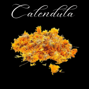 Calêndula