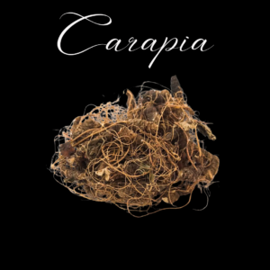 Carapiá