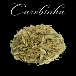Carobinha