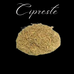Cipreste