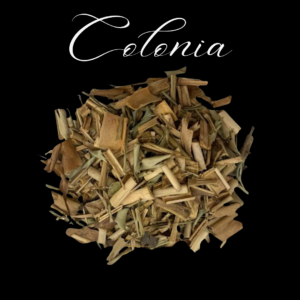 Colônia