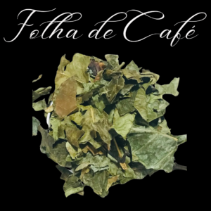 Folha de café