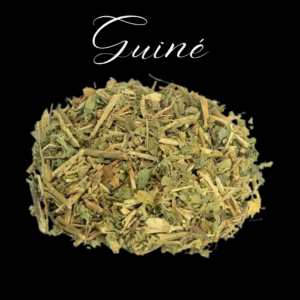 Guiné