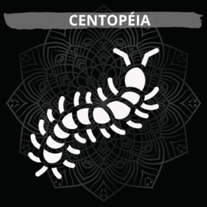 Centopéia