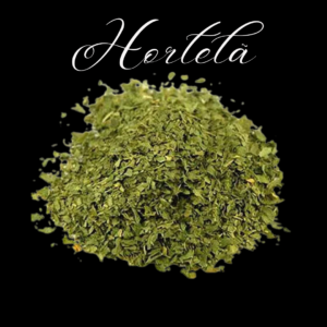 Hortelã