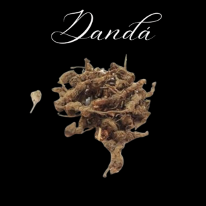 Dandá