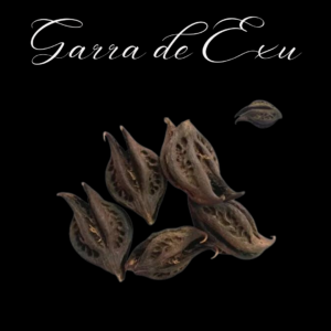 Garra de Exu