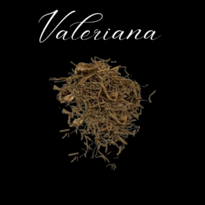 Valeriana