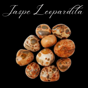 Jaspe Leopardita