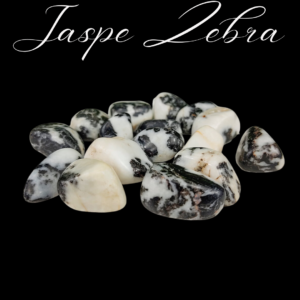 Jaspe Zebra