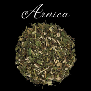 Arnica